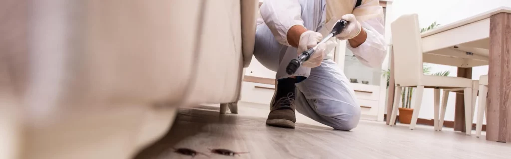 Image of Haztech worer in white protective gear holding pest control equipment, about to spray pests.